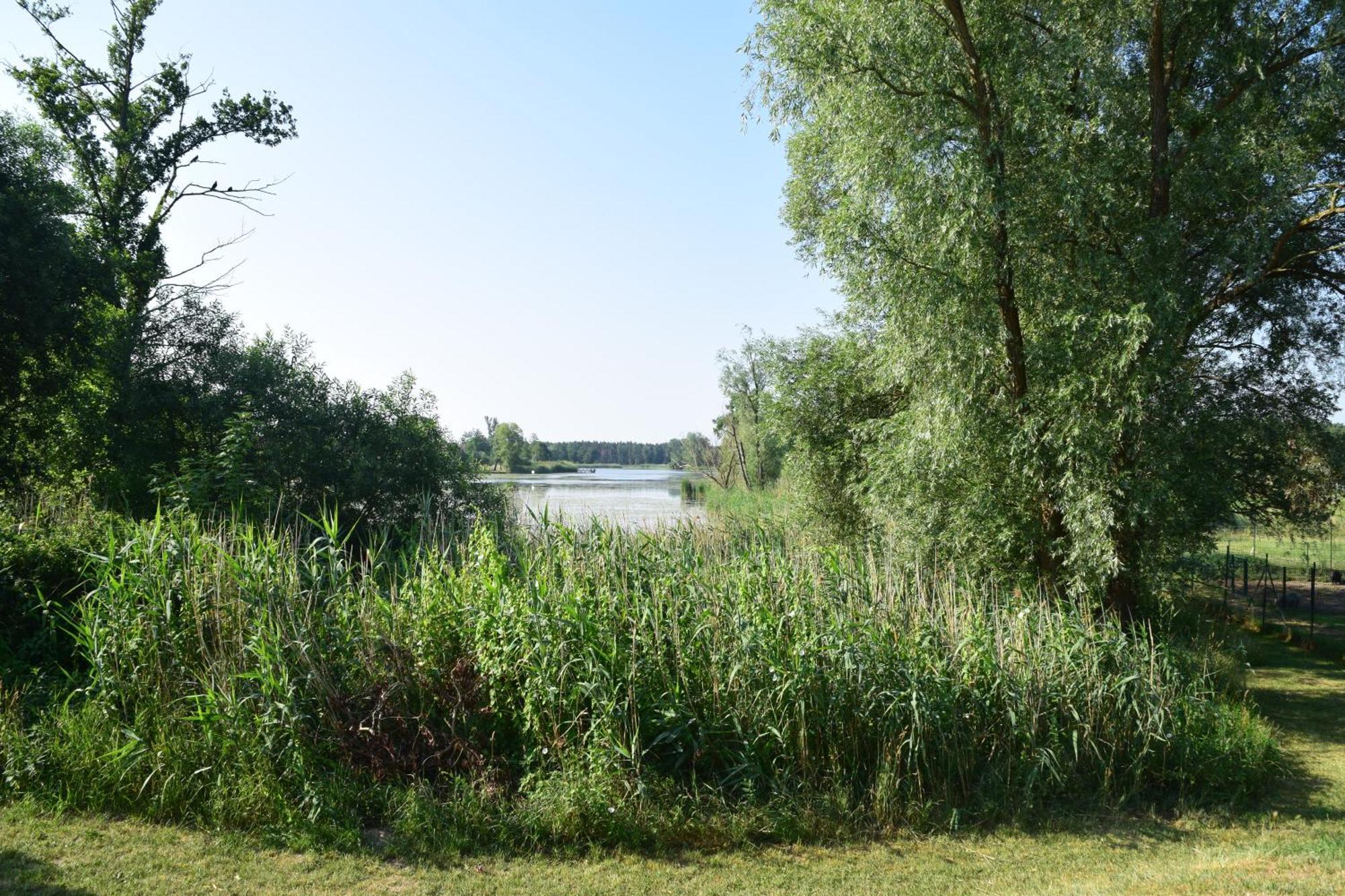 Land-Gut-Hotel Seeblick Klietz Esterno foto